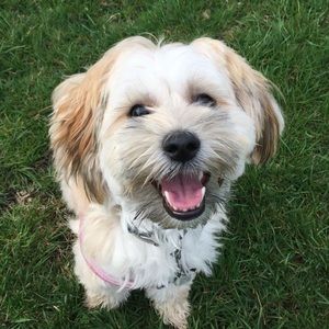 Meet your Posher, Rebecca